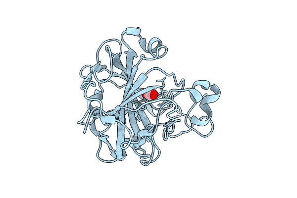 7Y2O image