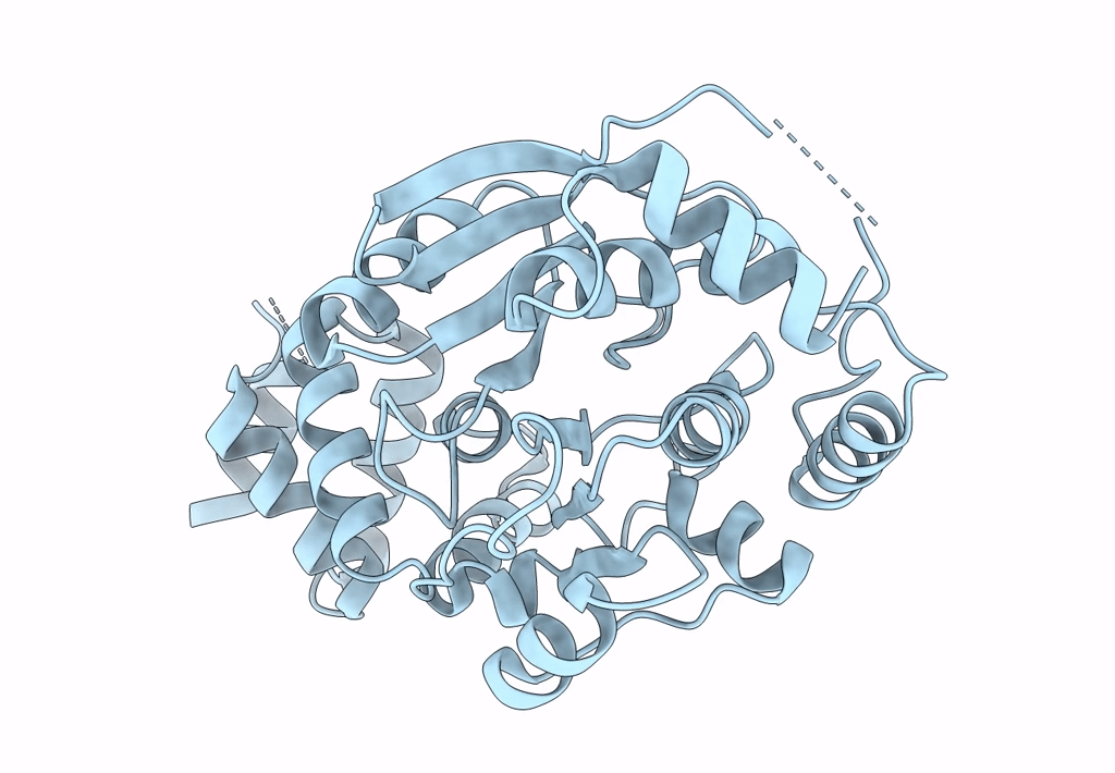 7Y3P image