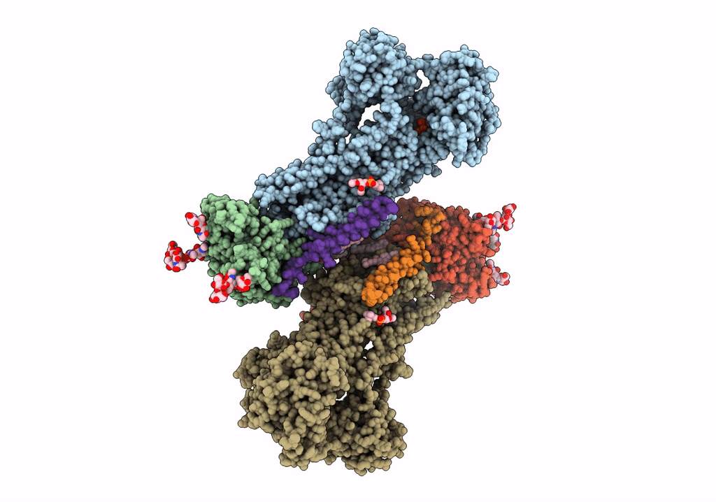 7Y46 image