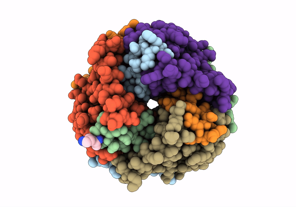 7Y4R image
