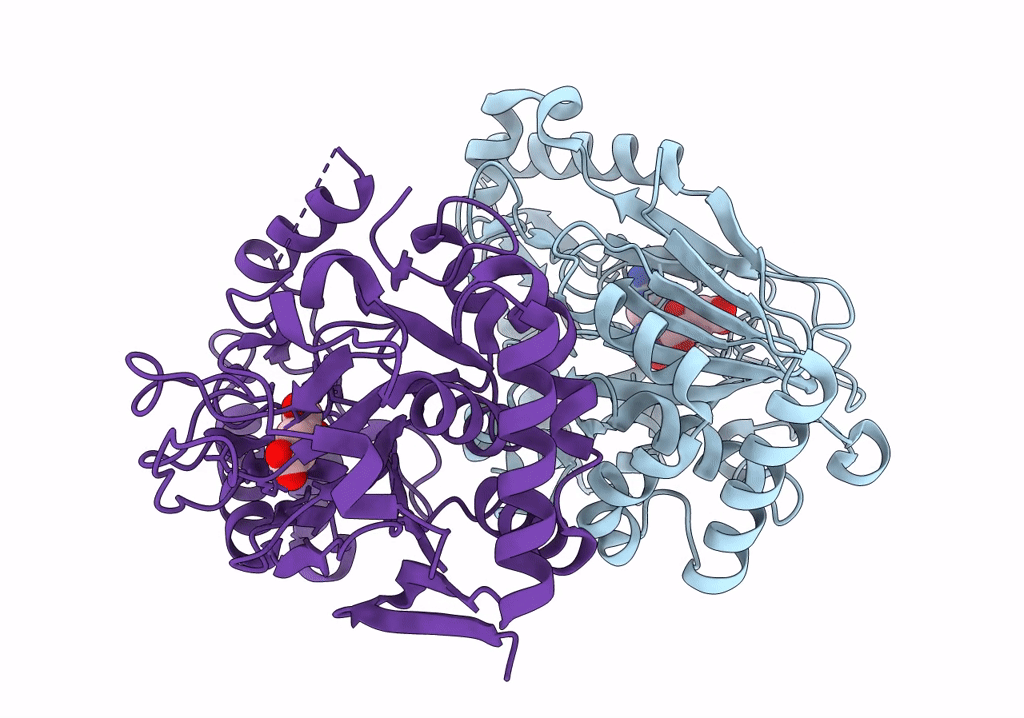 7Y5P image