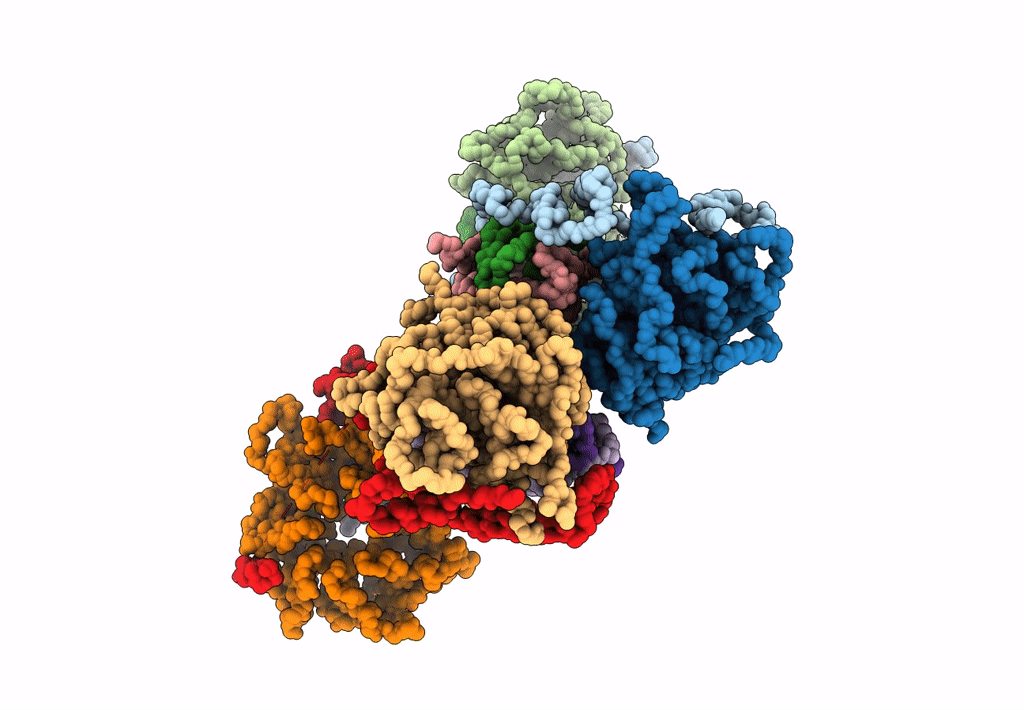 7Y5V image