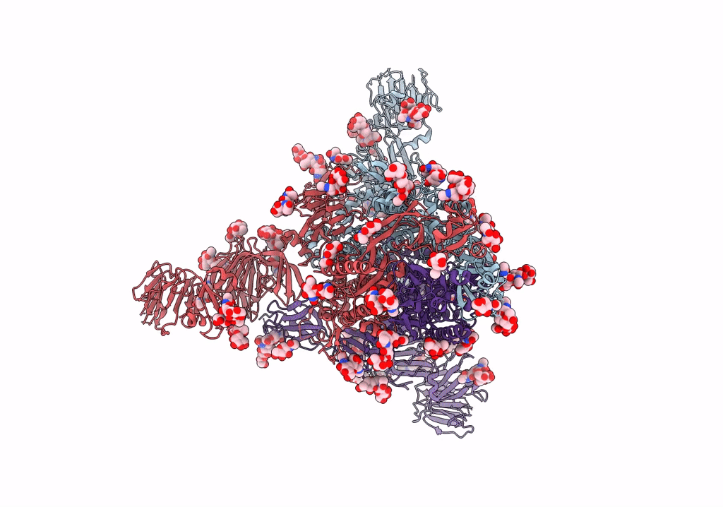 7Y6S image