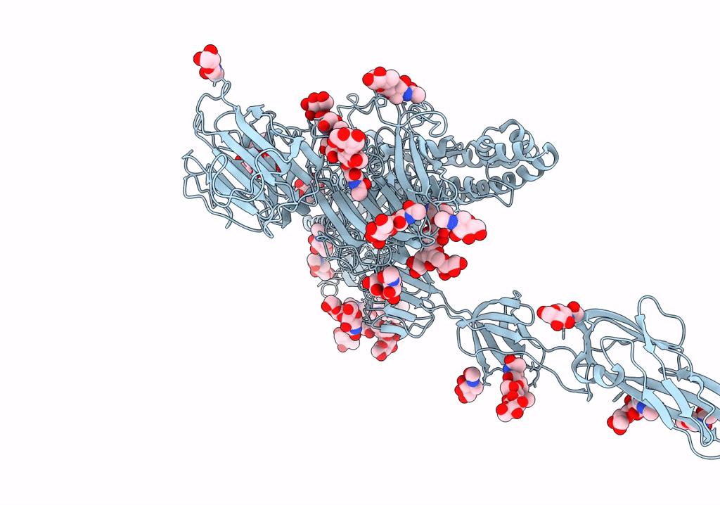 7Y6V image