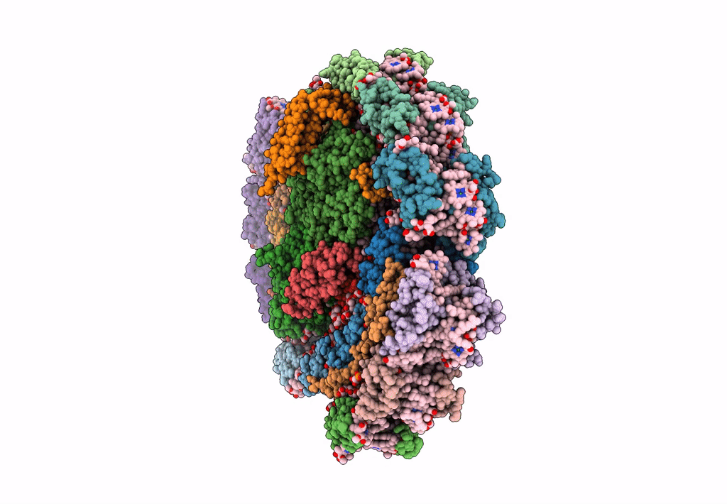 7Y7B image