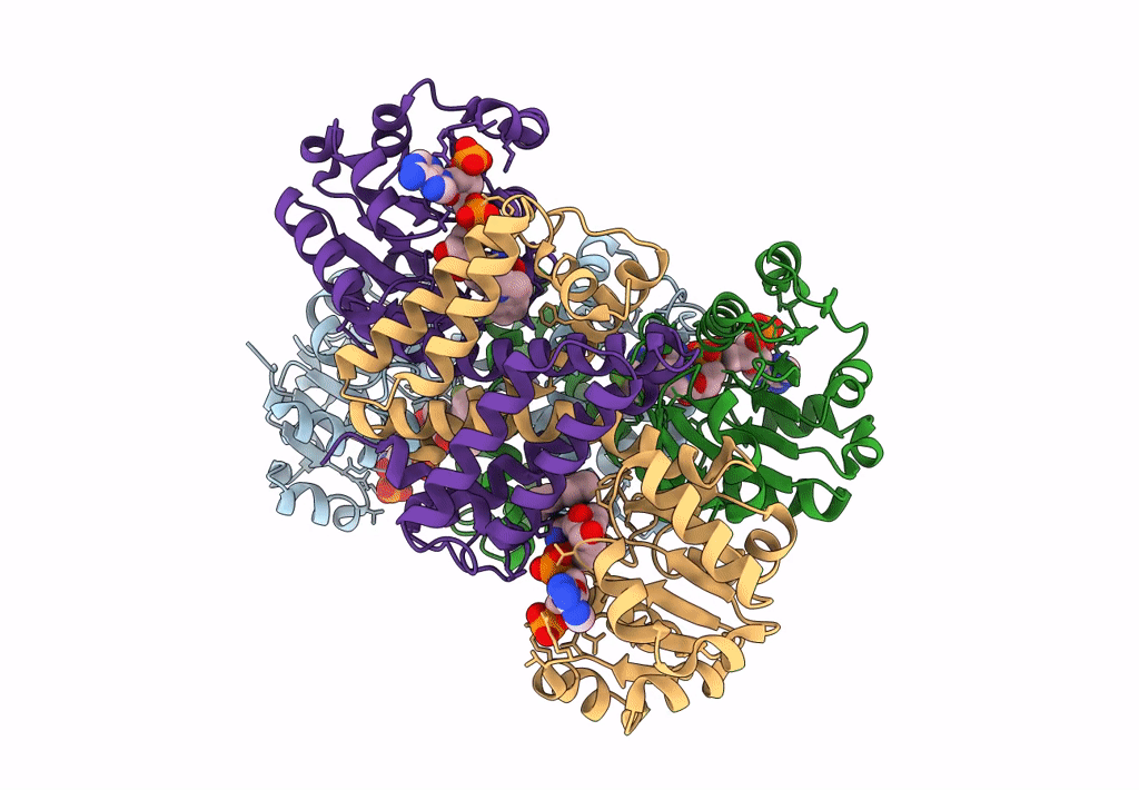 7Y8M image