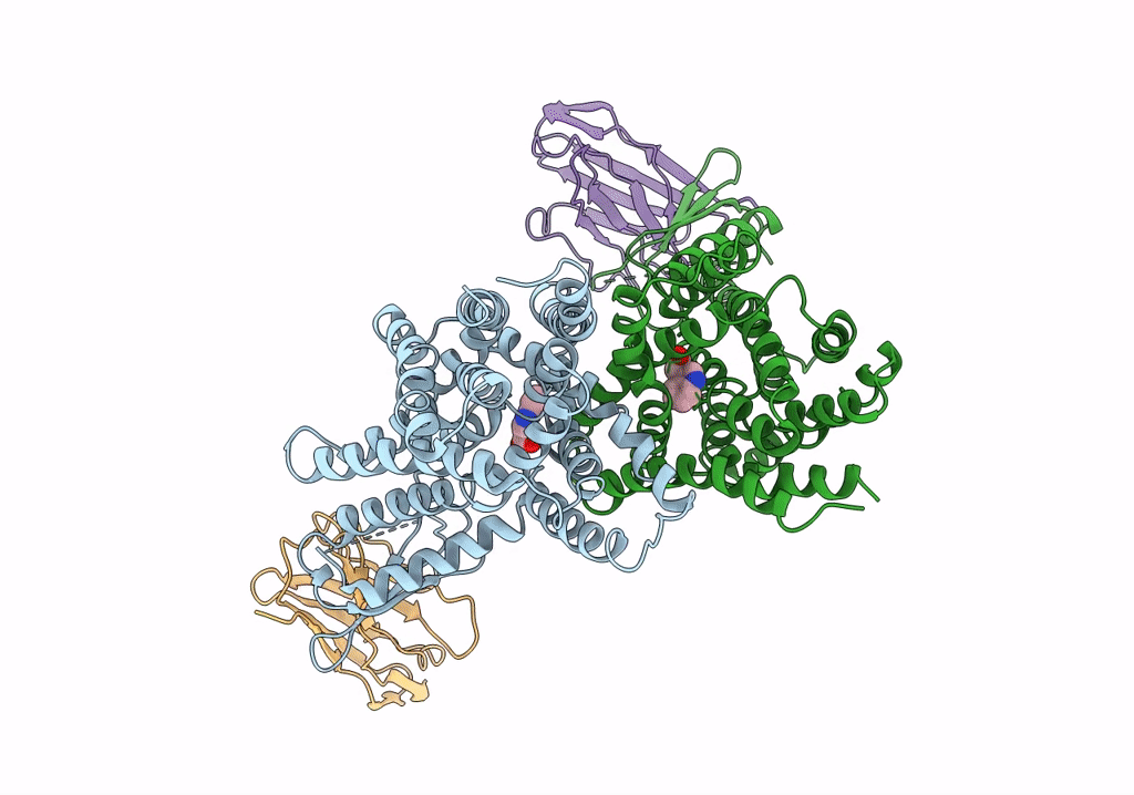 7Y9V image