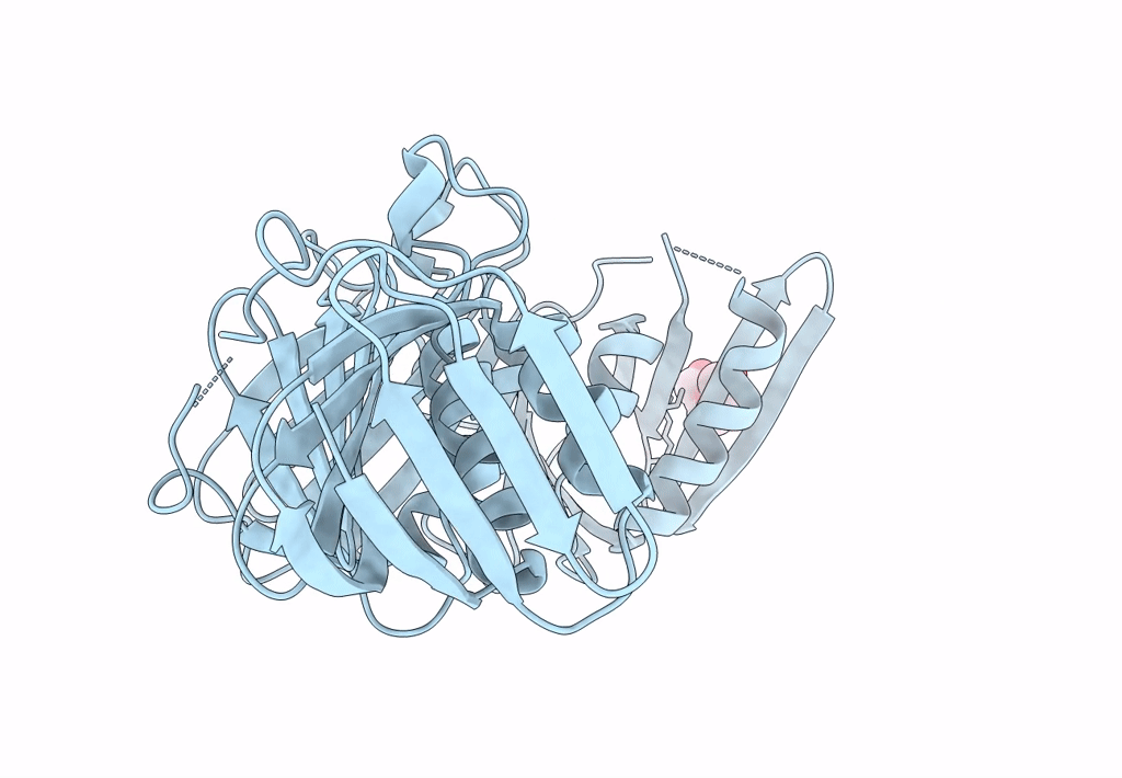7YBD image