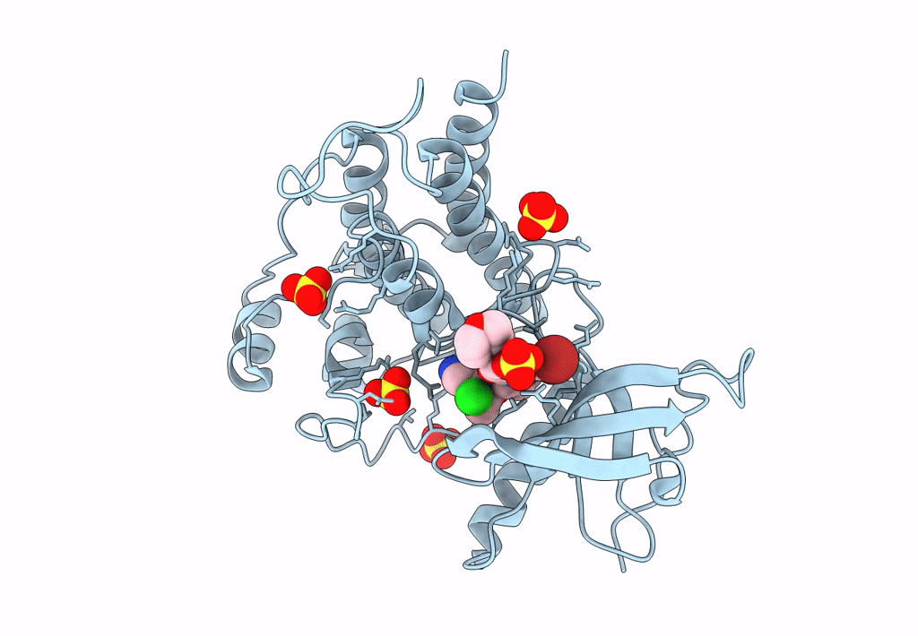 7YBP image
