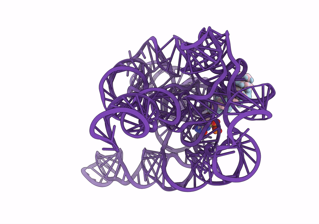 7YCI image