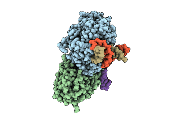 7YCP image