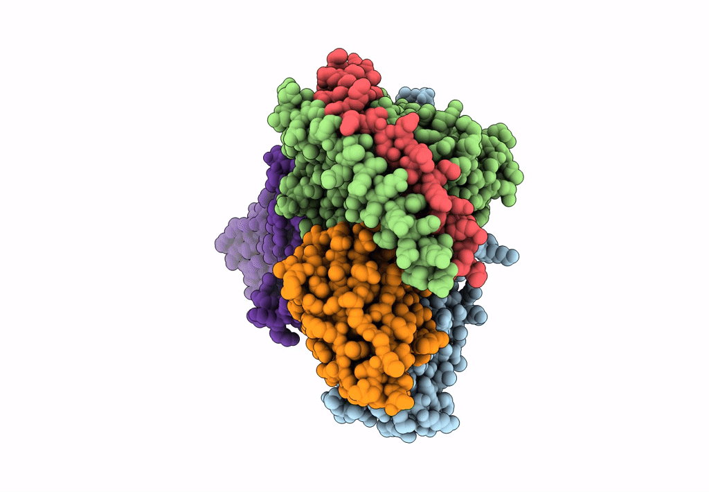 7YDM image