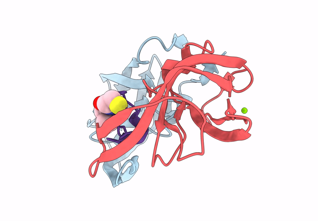 7YF6 image