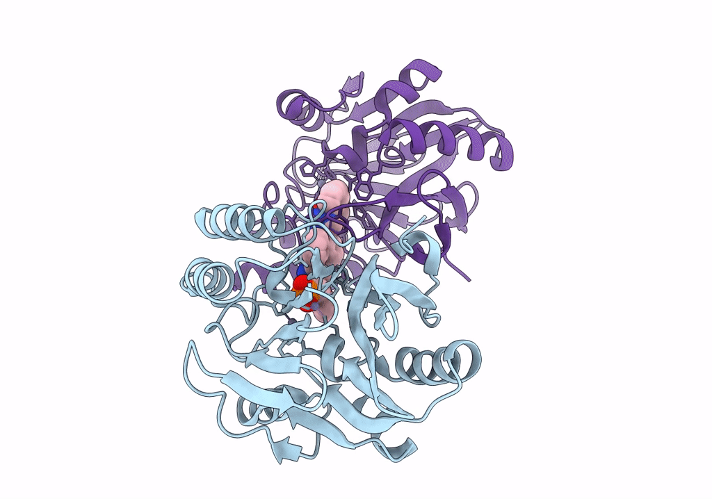 7YHB image