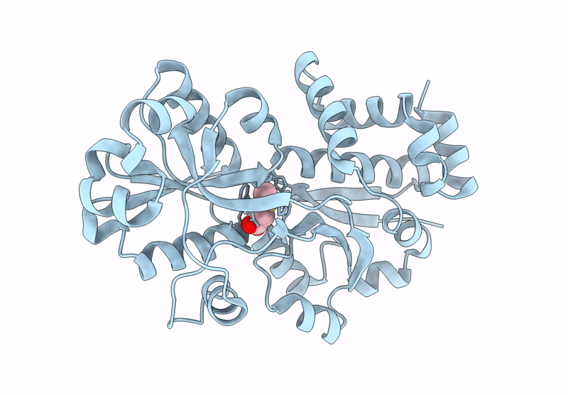 7YLE image