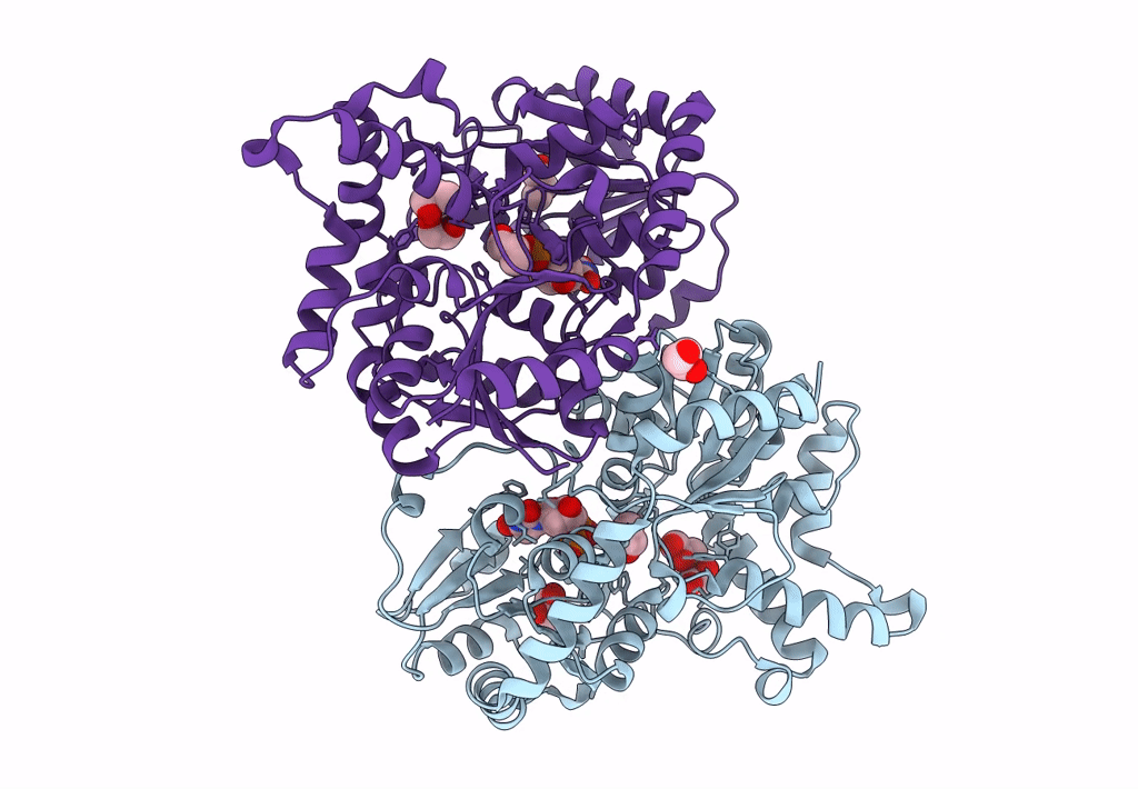 7YP5 image