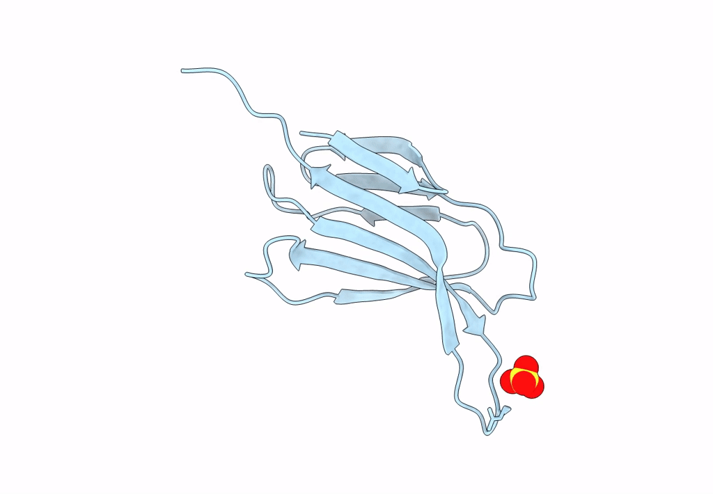 7YPL image