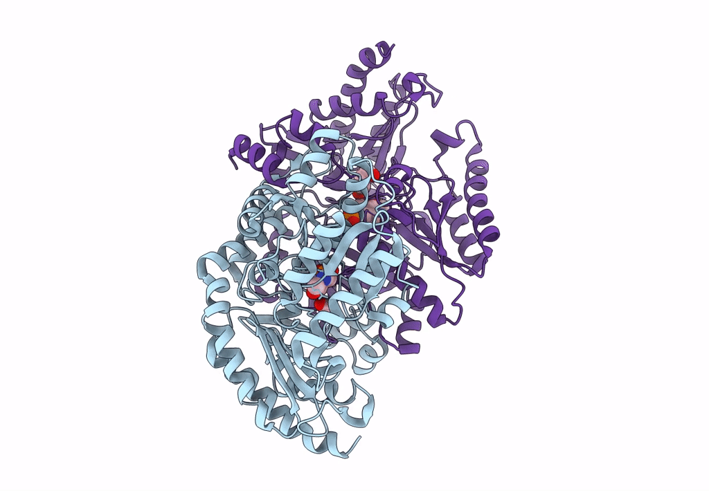 7YPN image