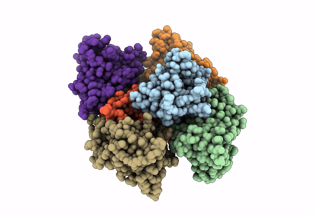 7YPP image