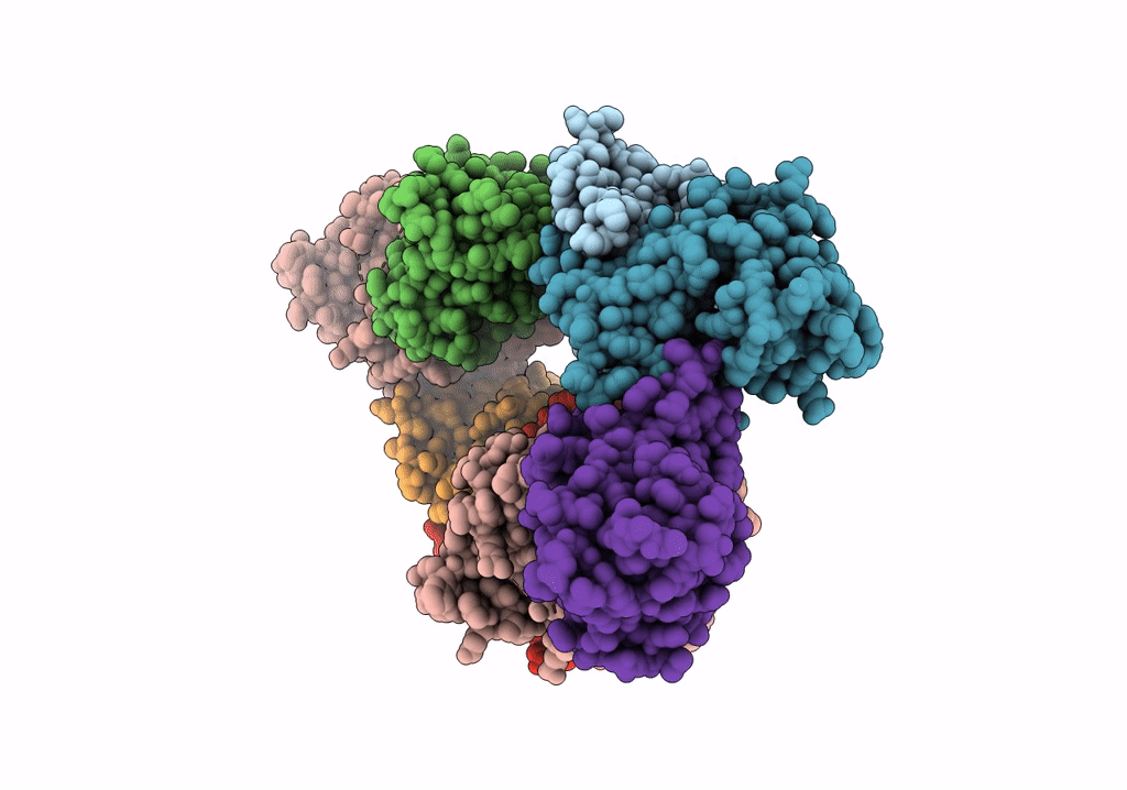 7YPV image
