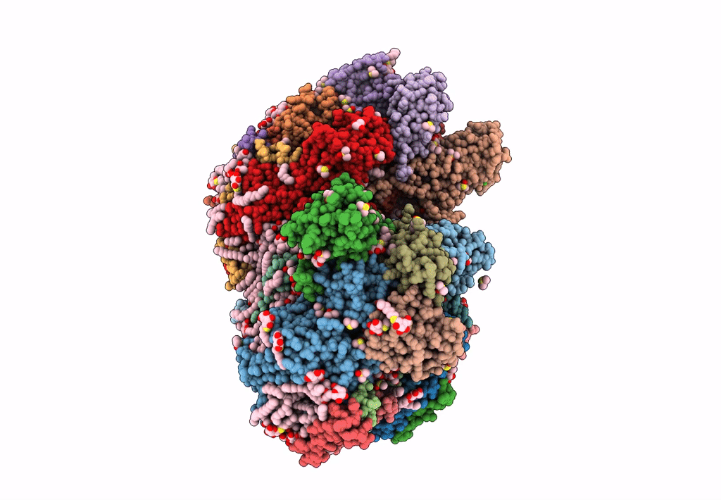7YQ2 image