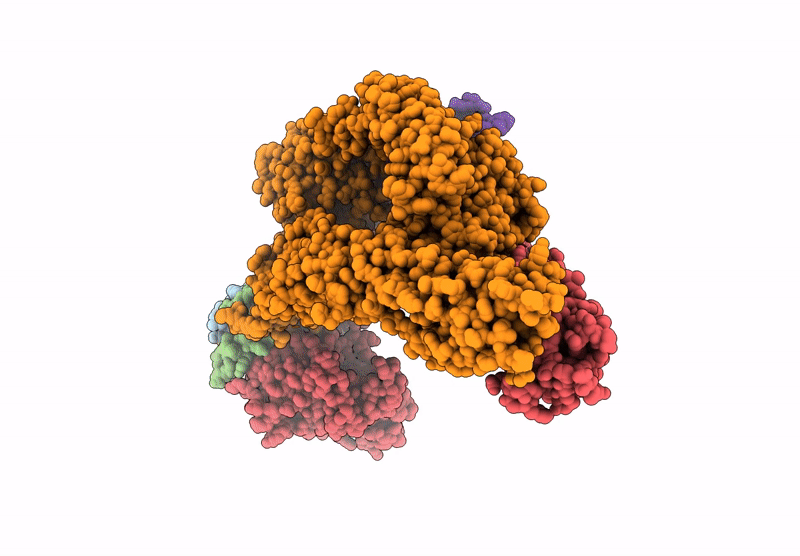 7YQ3 image