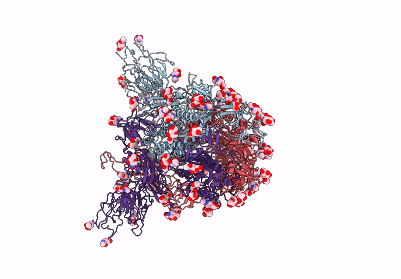 7YQT image