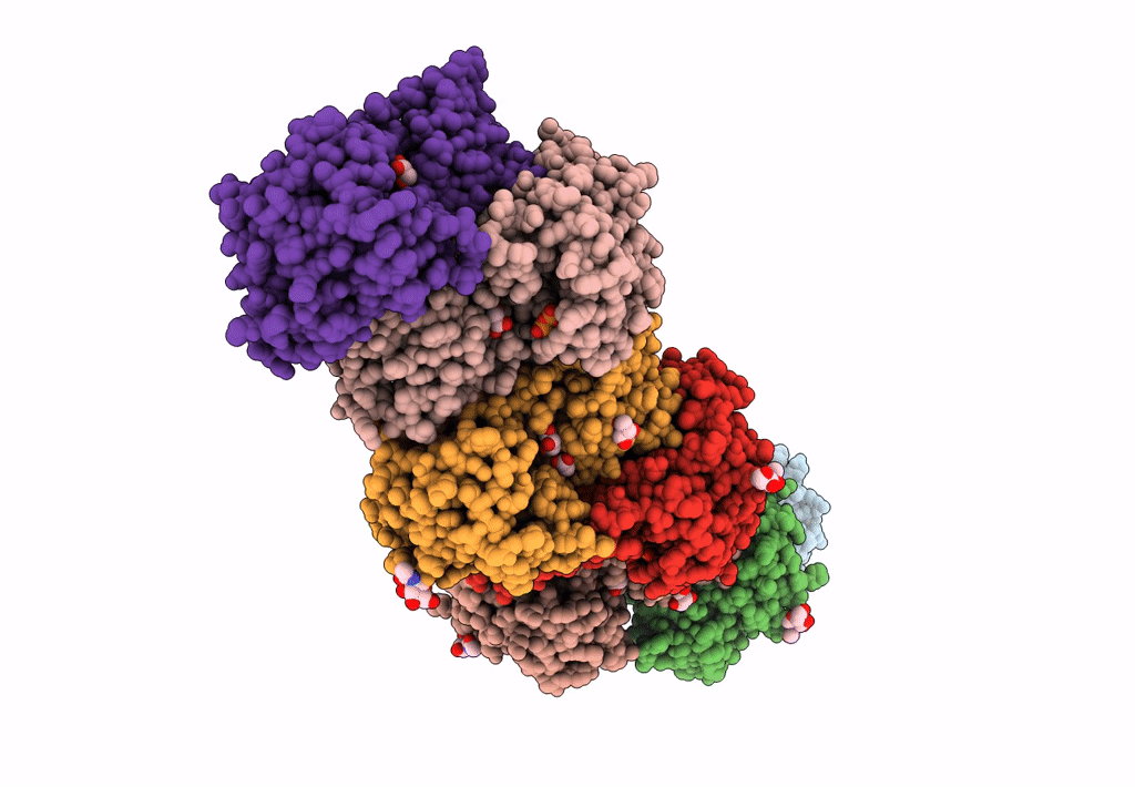 7YRO image