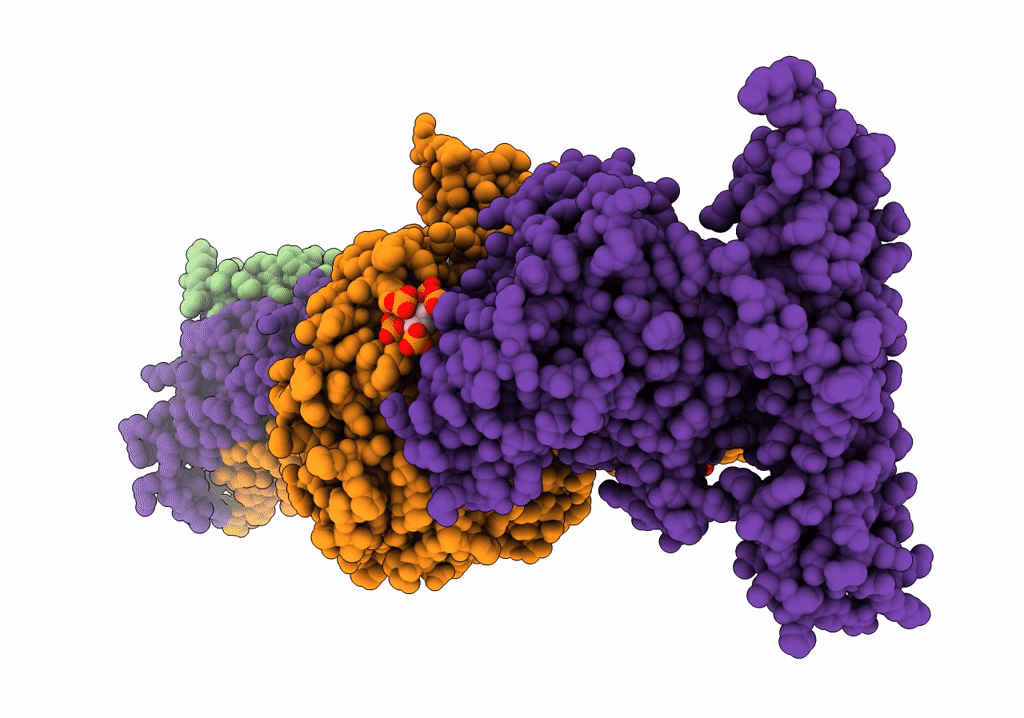 7YTJ image