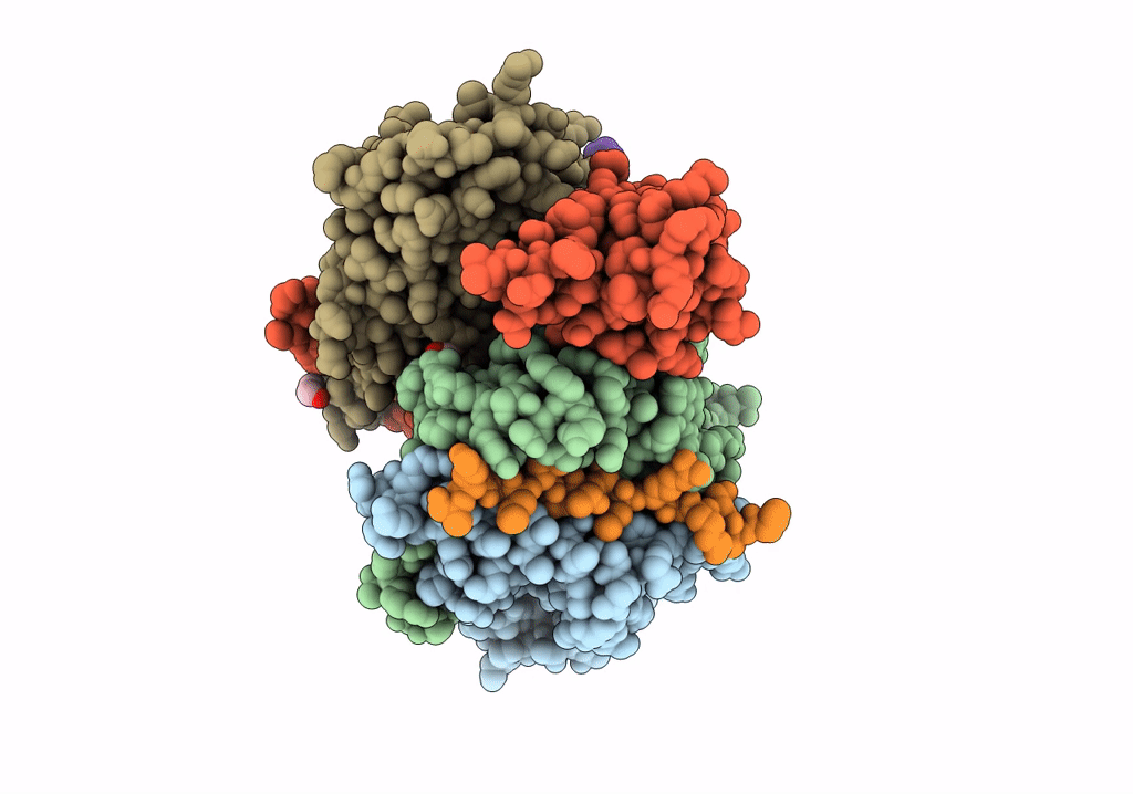 7YX9 image