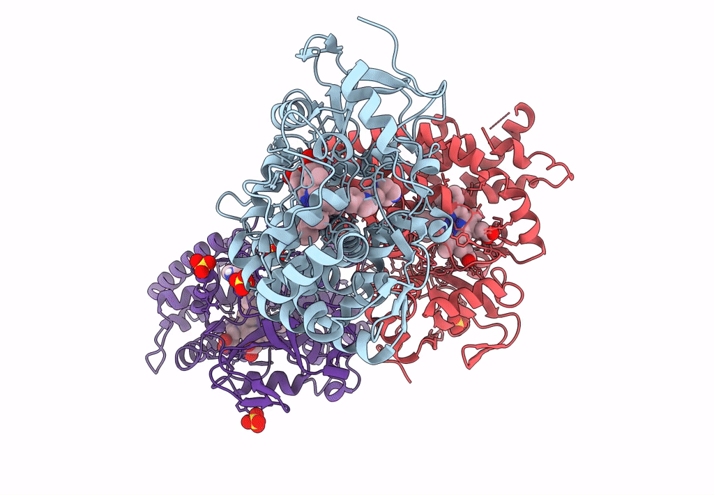 7YXF image