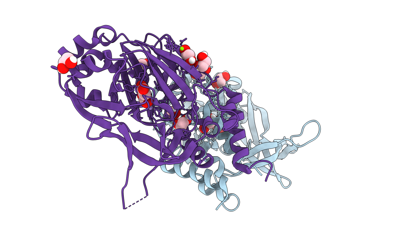 7YXG image