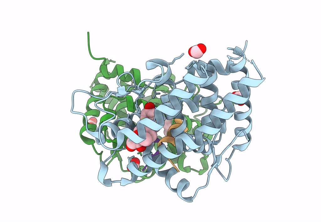 7YXN image