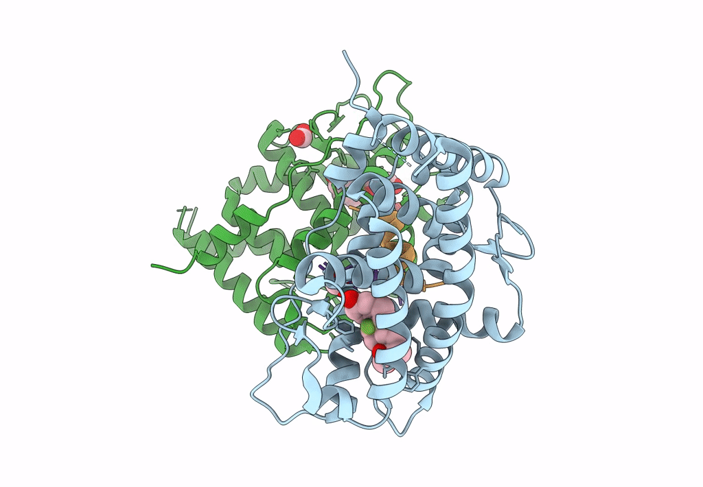 7YXR image
