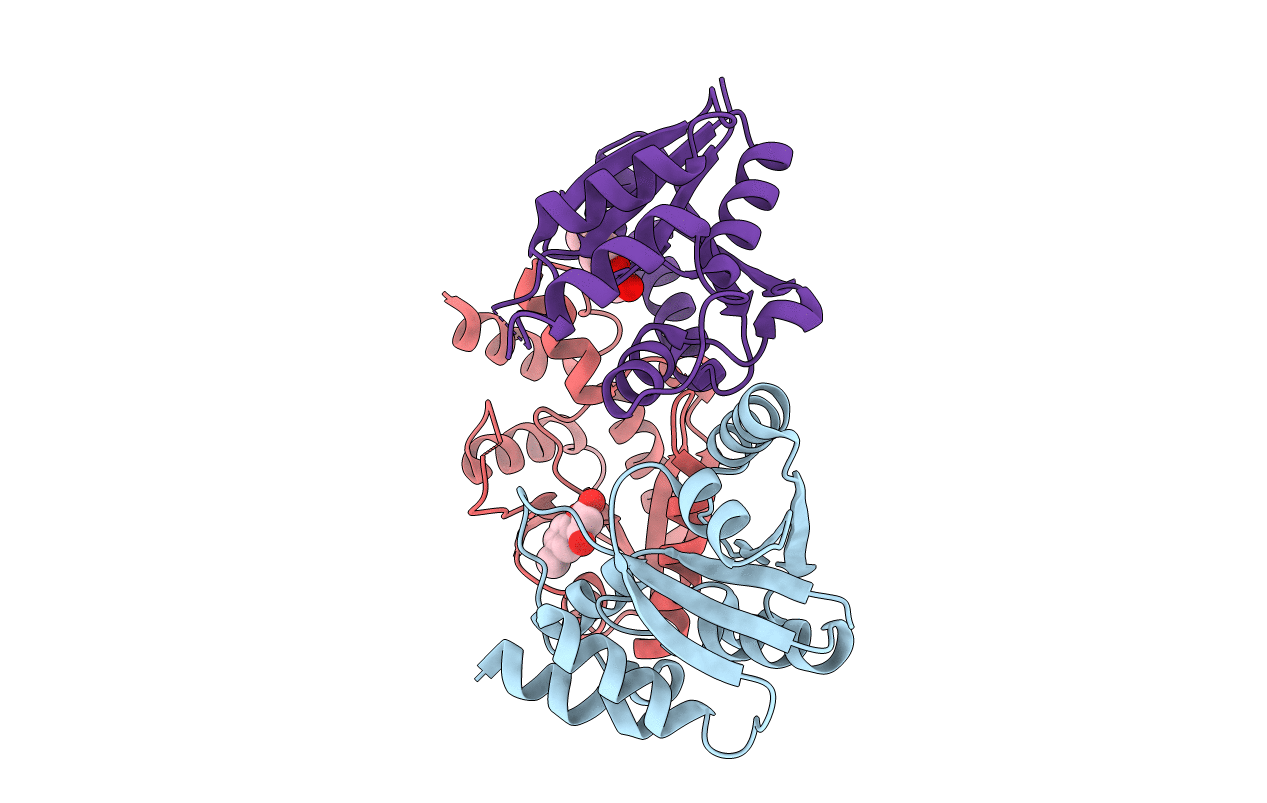 7YYB image