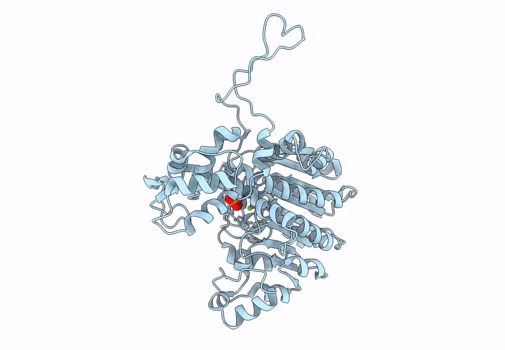 7Z00 image