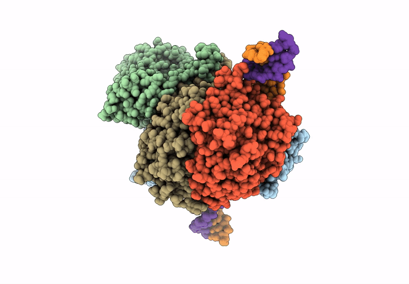 7Z03 image