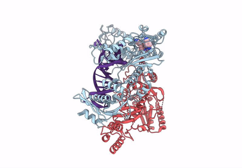 7Z2D image