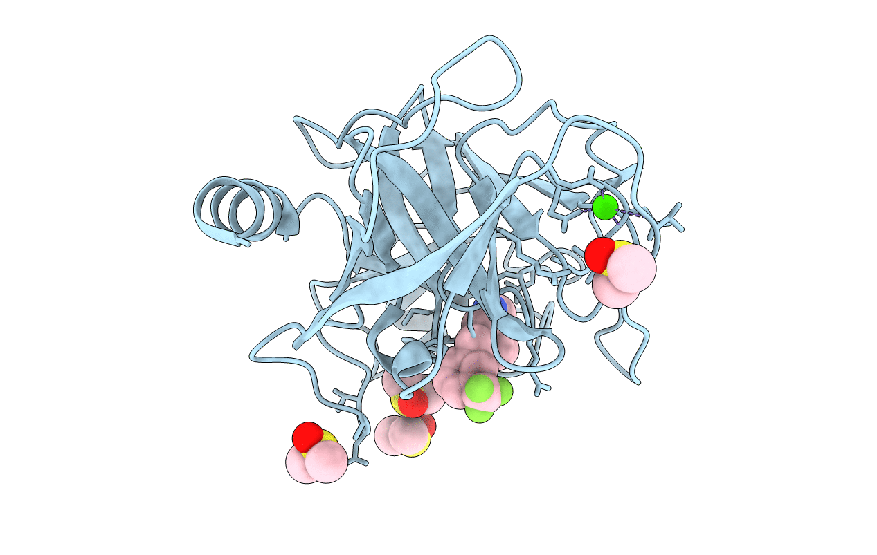 7Z2I image