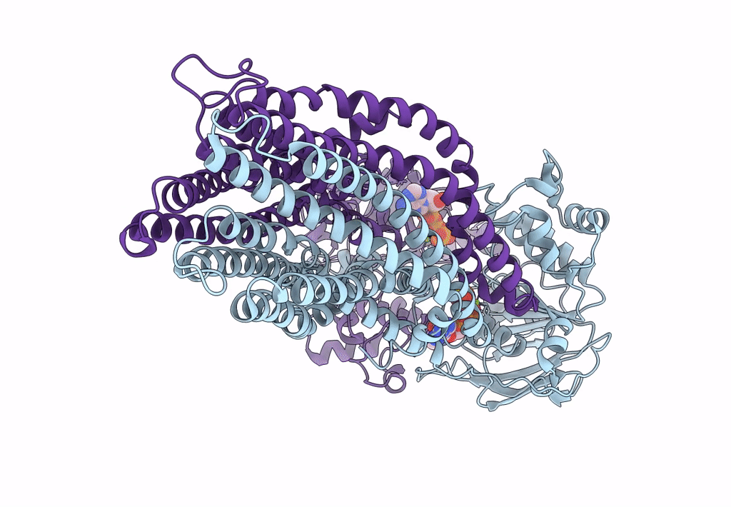 7ZDA image