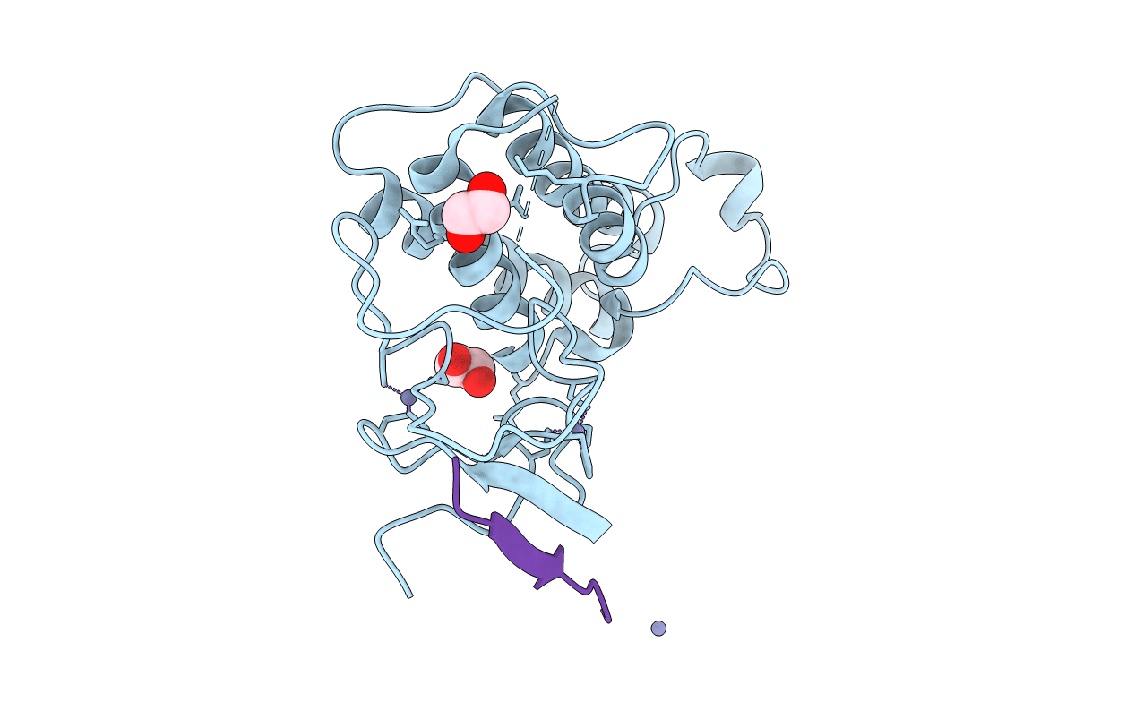 7ZDD image