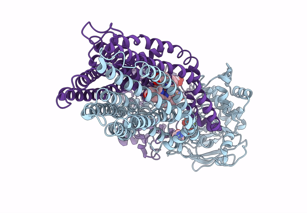7ZDL image