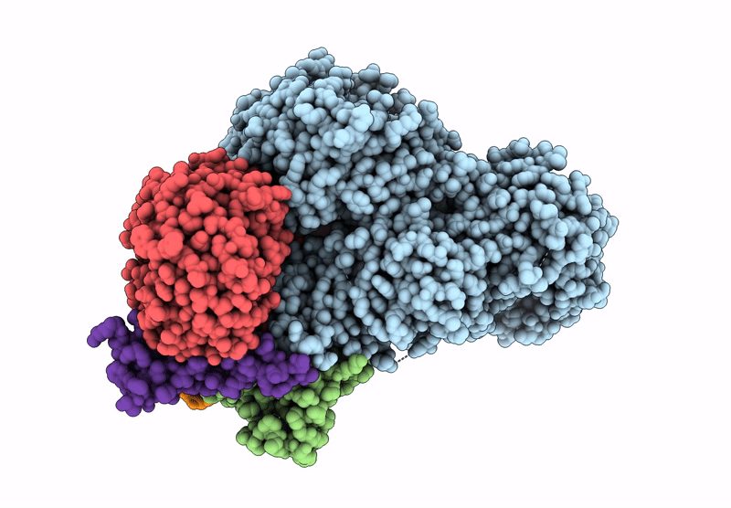 7ZGP image