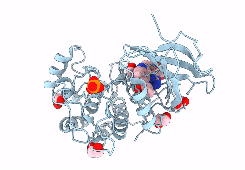 7ZHP image