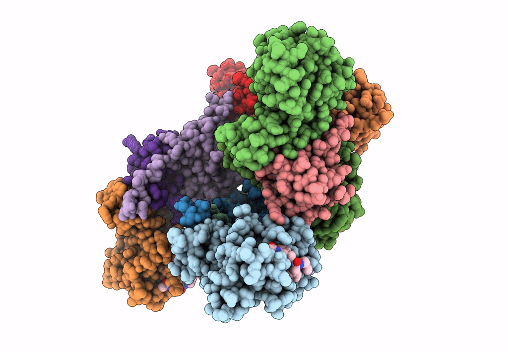 7ZLM image