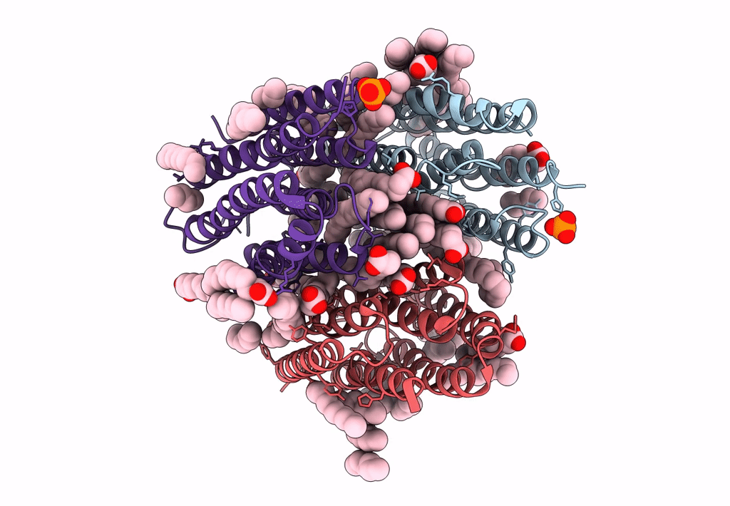 7ZNB image