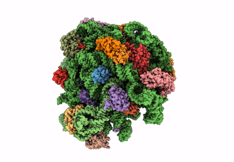 7ZP8 image
