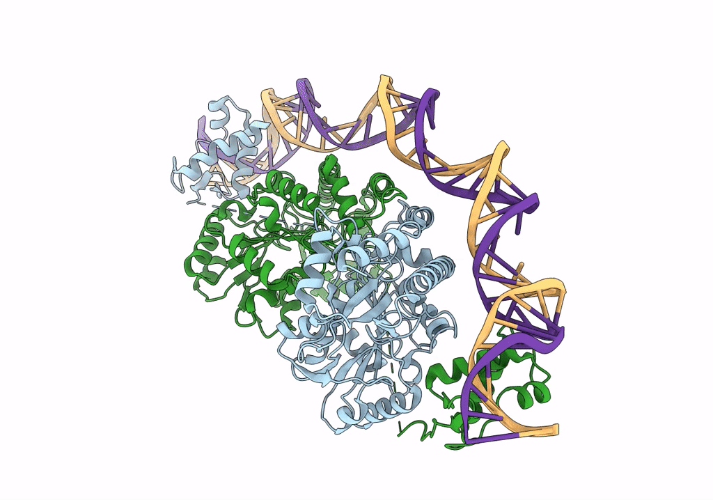 7ZPA image