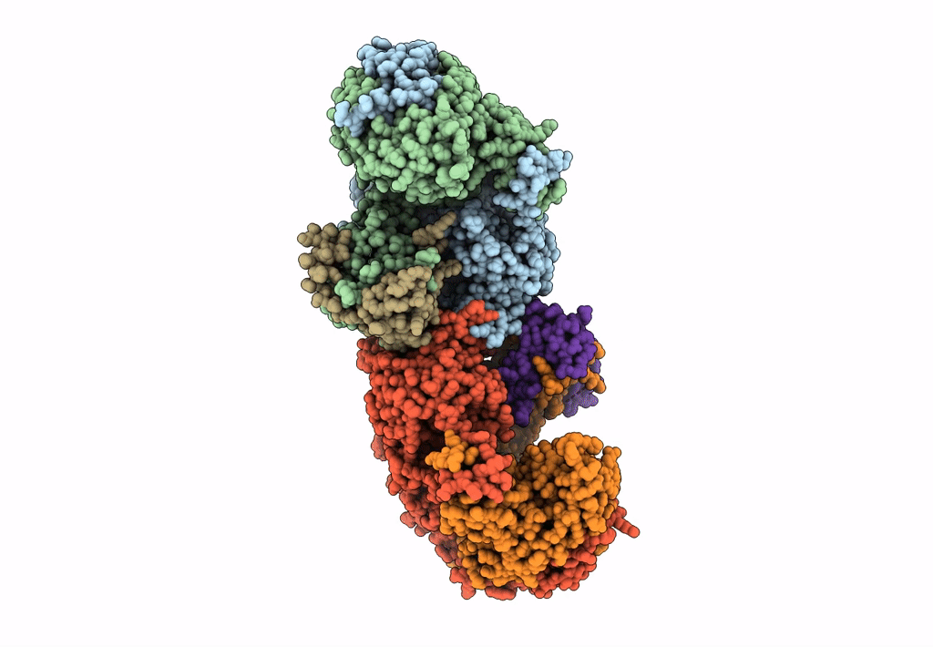 7ZPM image