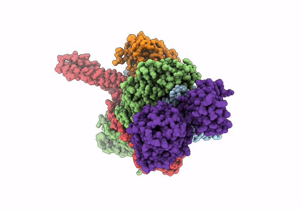7ZR5 image